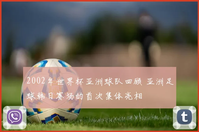 2002年世界杯亚洲球队回顾 亚洲足球韩日赛场的首次集体亮相