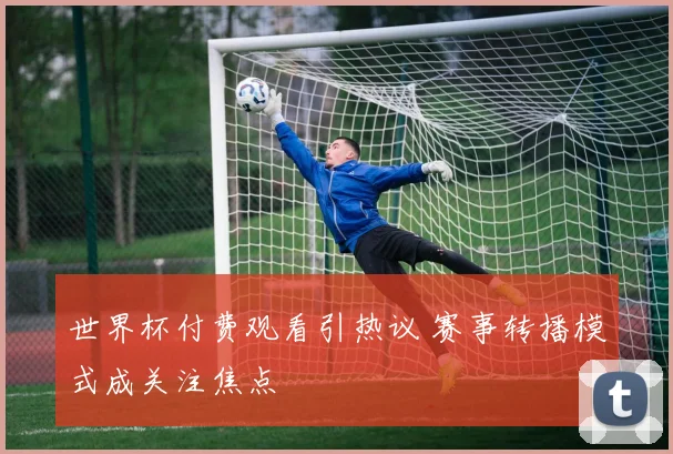 世界杯付费观看引热议 赛事转播模式成关注焦点
