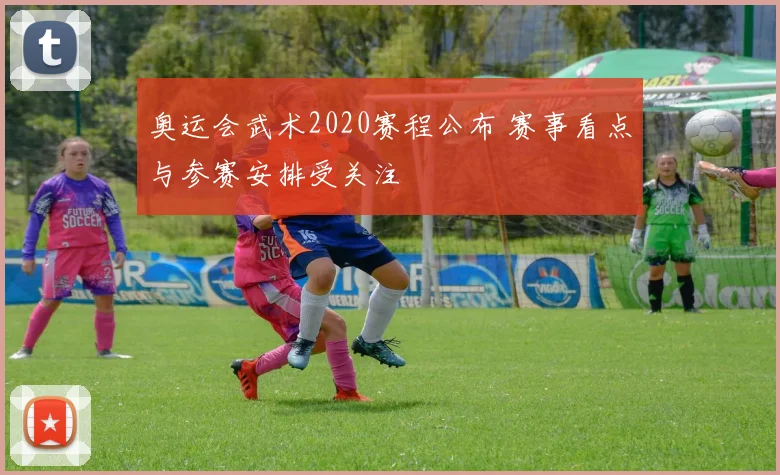 奥运会武术2020赛程公布 赛事看点与参赛安排受关注