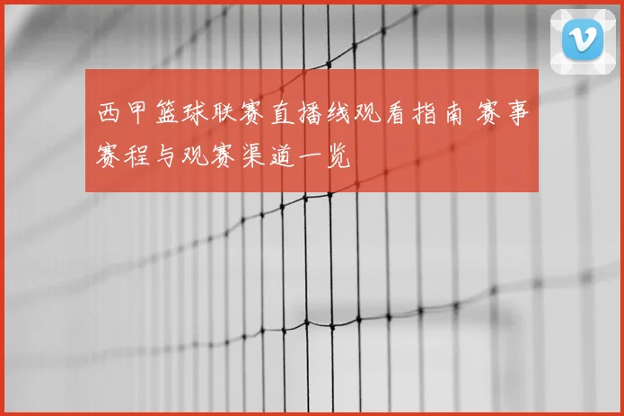 西甲篮球联赛直播线观看指南 赛事赛程与观赛渠道一览