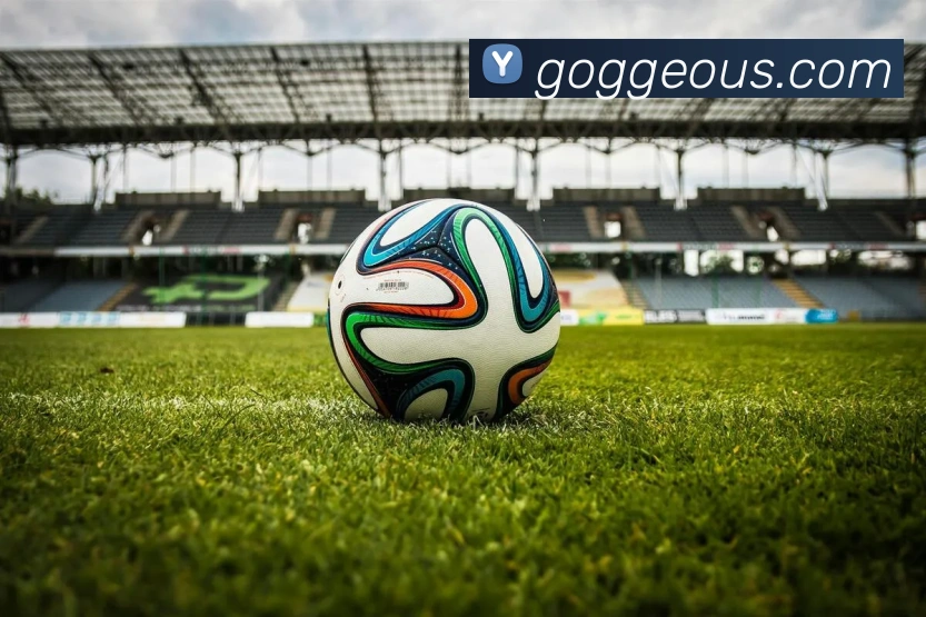 半岛在线登录首页服务体系